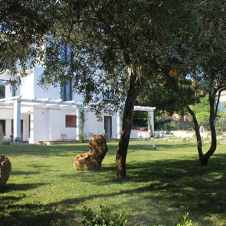 Villa La Conchiglia Rooms Cala Liberotto Exterior foto