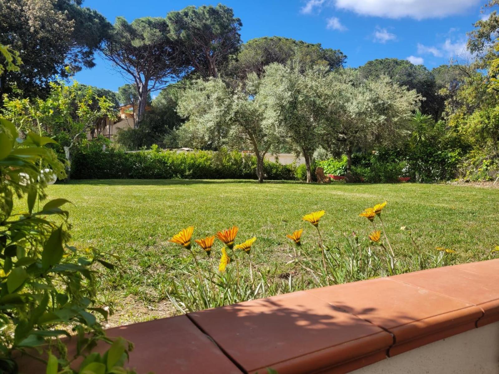 Villa La Conchiglia Rooms Cala Liberotto Exterior foto